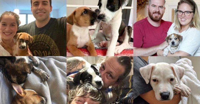 Charity Spotlight: Rescue City